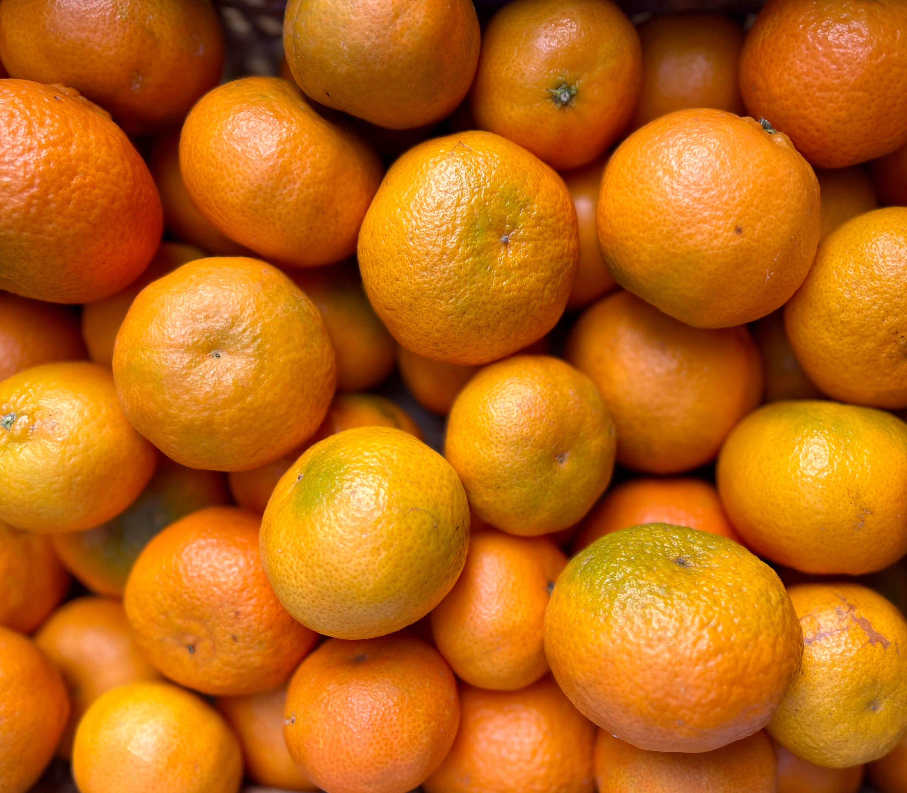 Mandarina