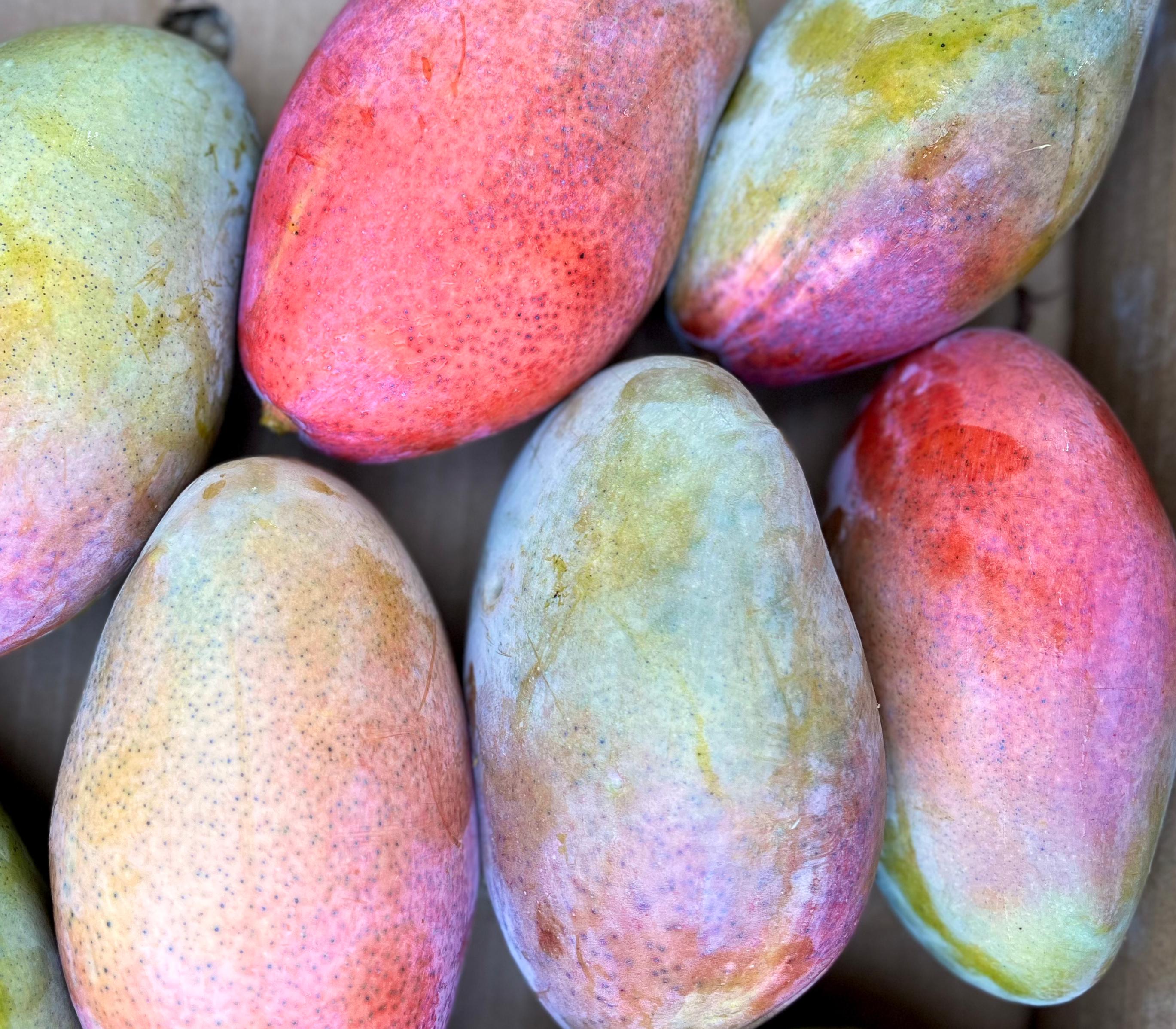 Mango