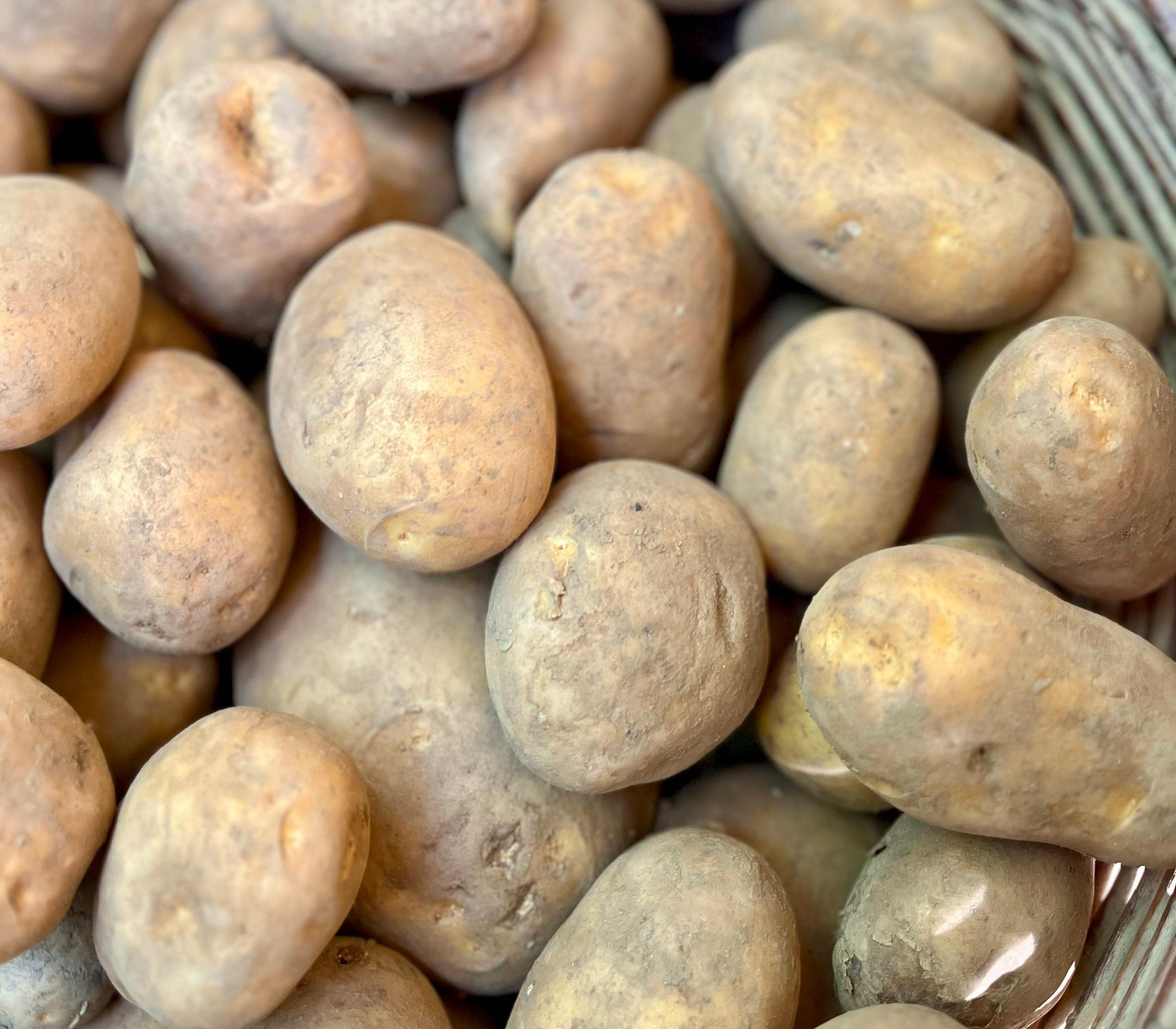 Patata blanca