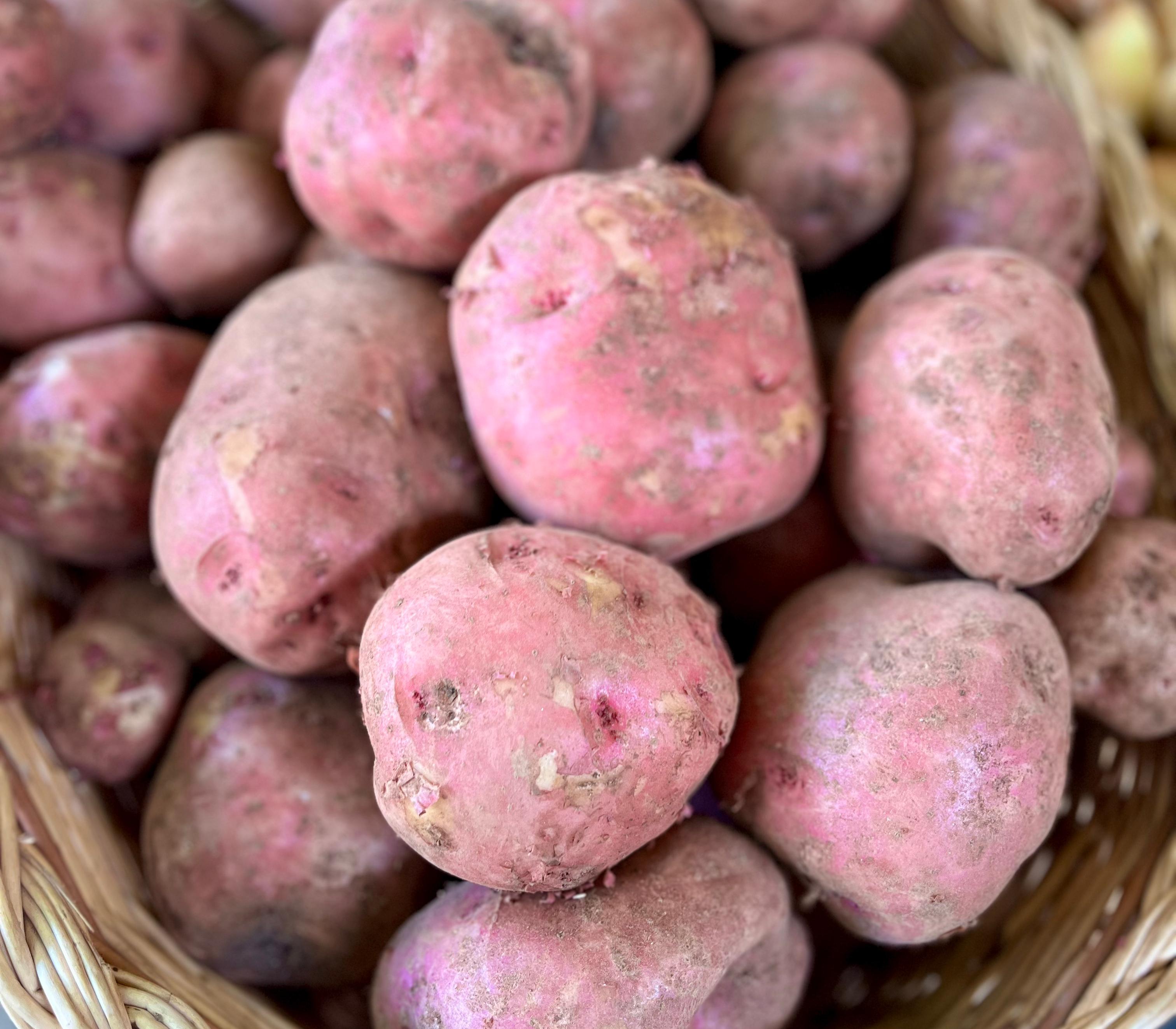 Patata vermella