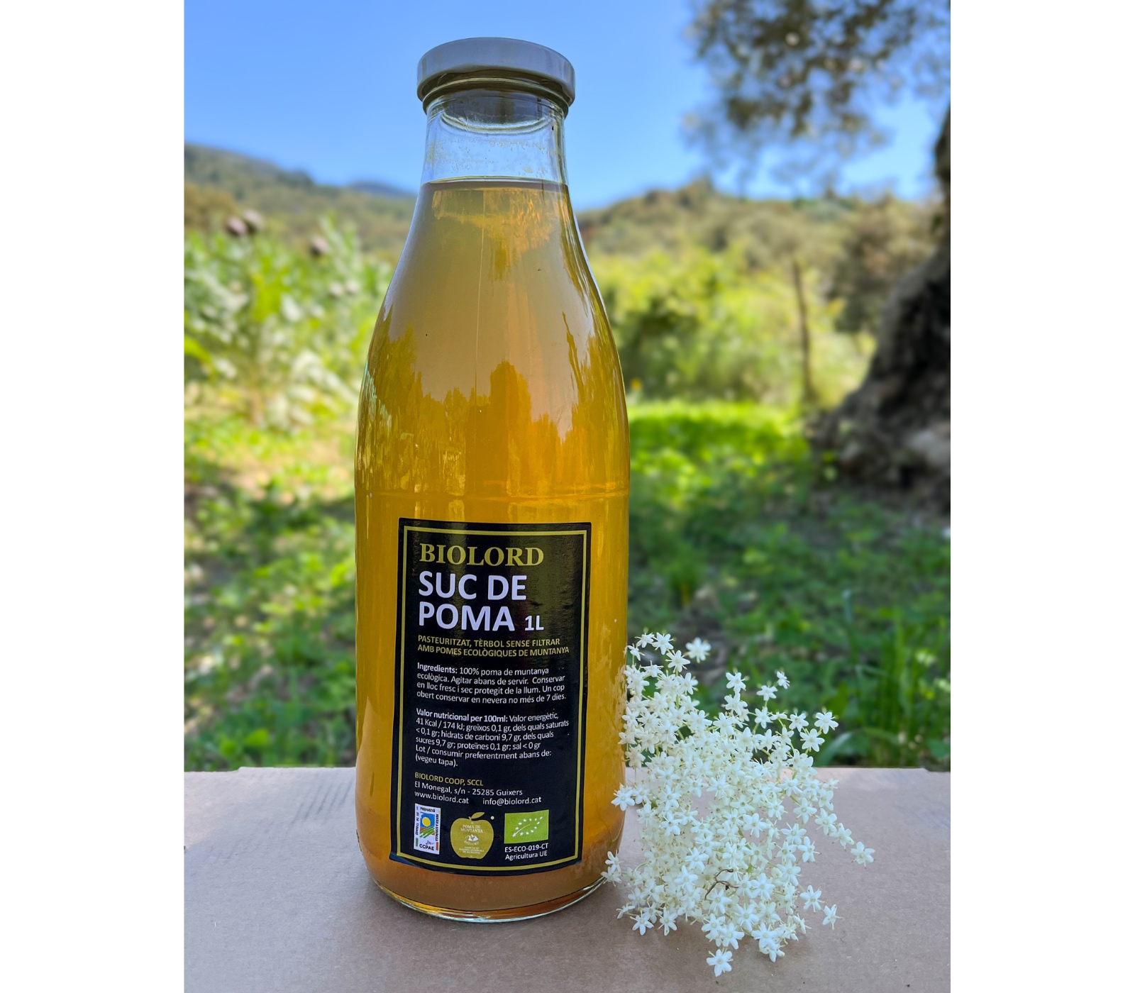 Suc de poma (750 ml)