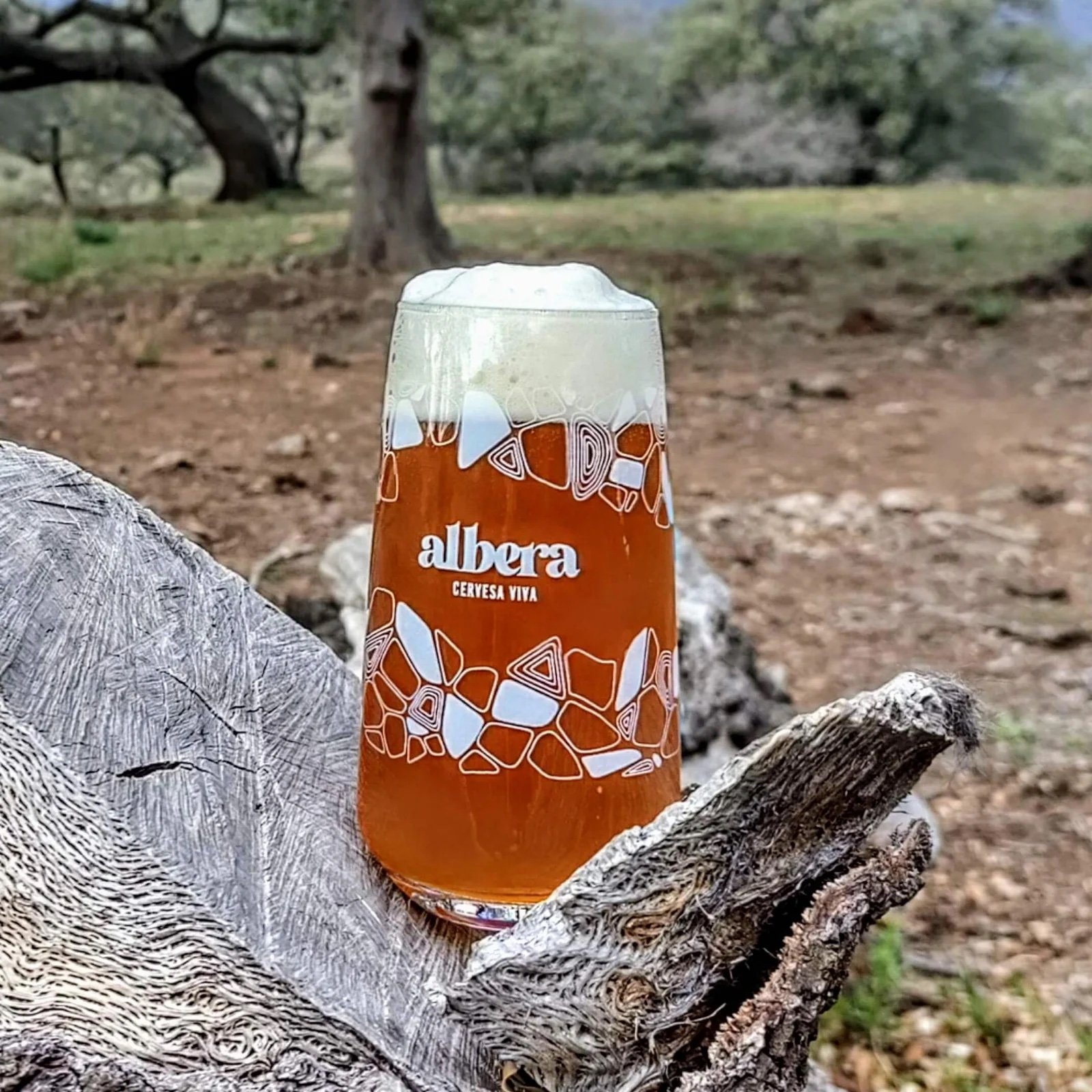 Got Albera 50cl